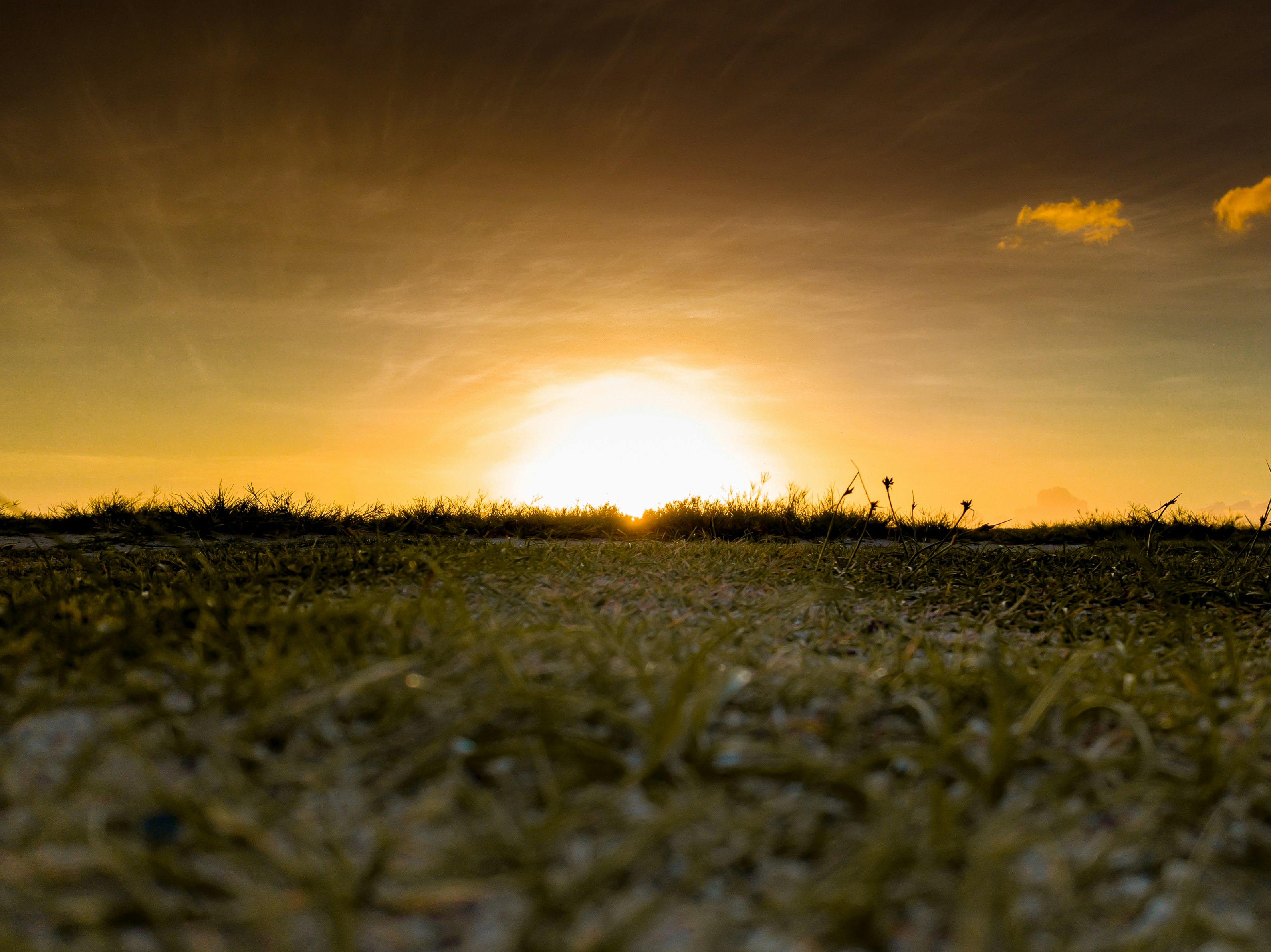 green grass lawn during sunset